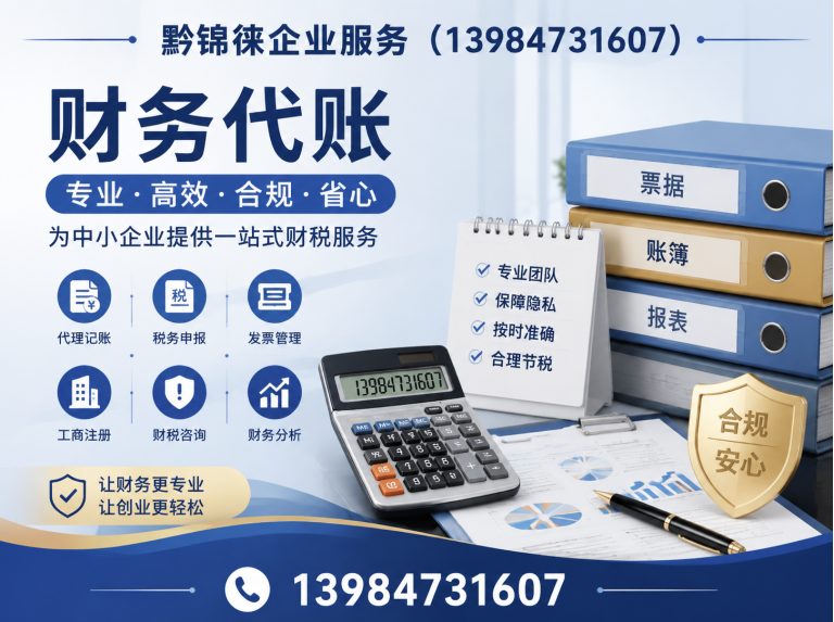 修文县记账报税展示图